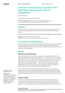 A Review of the Vascular Anatomy of the Optic Nerve Head