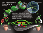 Rapid Trait Development System (RTDS™) in Plants