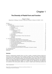the diversity of plastid - University of Wisconsin Oshkosh
