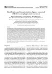 Identification and characterization of genes connected with flower