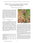 Effects of Cuscuta pentagona Extract on Breast Cancer Cells in Cell