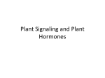Plant Signaling and Plant Hormones