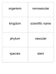 organism kingdom phylum species nonvascular scientific name