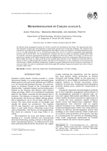 MICROPROPAGATION OF CARLINA ACAULIS L.