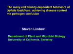 Steven Lindow - Biocontrol 2016