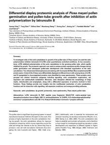 Differential display proteomic analysis of Picea meyeri pollen