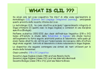 WHAT IS CLIL ???