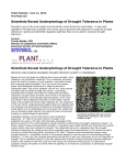 Scientists Reveal Underpinnings of Drought Tolerance in Plants