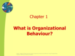 What is Organizational Behaviour? Chapter 1 Fundamentals of Organizational Behaviour,