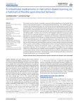 Frontostriatal mechanisms in instruction-based learning