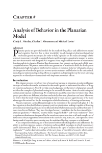 Analysis of Behavior in the Planarian Model