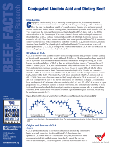 Conjugated Linoleic Acid and Dietary Beef