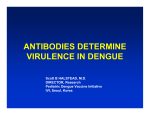 Antibodies determine virulence of Dengue viruses