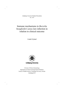Immune mechanisms in Borrelia burgdorferi sensu lato