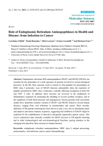 Role of Endoplasmic Reticulum Aminopeptidases in Health and