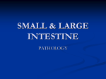 Non neoplastic lesions of intestine