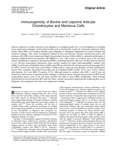 Immunogenicity of Bovine and Leporine Articular Chondrocytes and