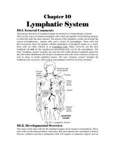 Lymphatic System - Dr. Salah A. Martin