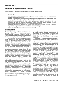 Follicles in Hypertrophied Tonsils