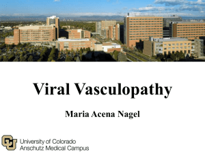 Viral Vasculopathy