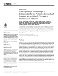 TLR3 Signaling in Macrophages Is Indispensable for the