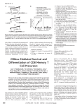 CD8 -Mediated Survival and Differentiation of CD8 Memory T Cell