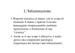 L`Infiammazione