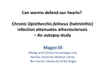 Can worms defend our hearts? Chronic Opisthorchis felineus