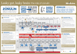Leaky gut, leaky brain: the role of zonulin