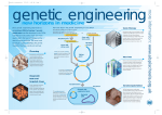 Genetic Engineering Poster