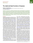 The Jekyll and Hyde Functions of Caspases