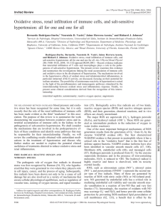 Oxidative stress, renal infiltration of immune cells