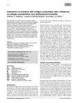 Interaction of bacteria with antigen presenting cells: influences on