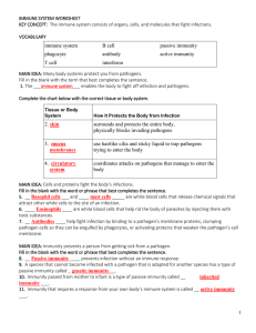 1 IMMUNE SYSTEM WORKSHEET KEY CONCEPT: The immune