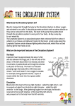 Circulatory System - Life Education Trust Logo