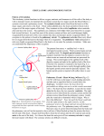 CIRCULATORY AND ENDOCRINE SYSTEM Pattern of