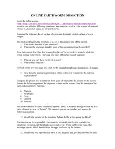 ONLINE EARTHWORM DISSECTION