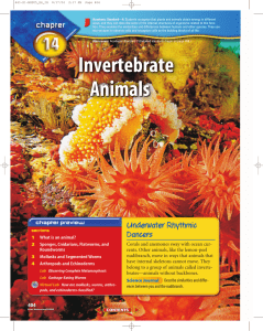 Chapter 14: Invertebrate Animals