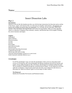 Dissection Lab II (week 3)