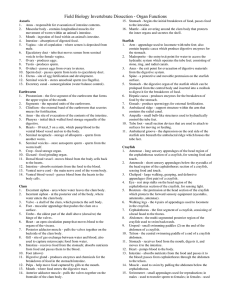 Field Biology Invertebrate Dissection