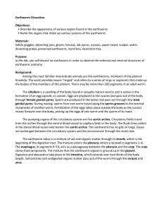 11. Earthworm Dissection