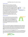 Squid Biology/Anatomy Notes, based on Loligo sp