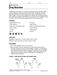 Frog Dissection Information