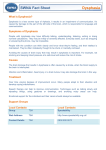 Dysphasia SWNA Fact Sheet