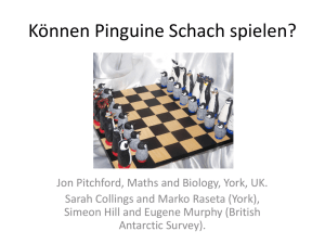 Können Pinguine Schach spielen?