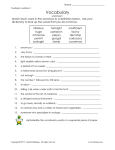 Vocabulary Grades 3-4 worksheet a