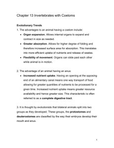 Chapter 13 Invertebrates with Coeloms