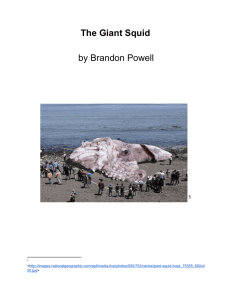 The Giant Squid by Brandon Powell 1