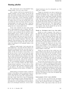 Hunting jellyfish - Ceylon Medical Journal