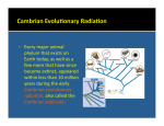 Geo 221_16 copy